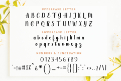 Barbie Panda - Family Font In 55 Type Product Image 12