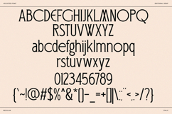 Veloster - Logo Serif Branding Font Product Image 10