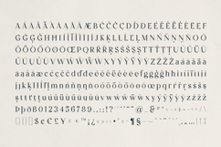 Zindora - Modern Classic Serif Font Product Image 10