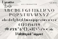 Executive Boss Product Image 10