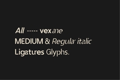 Vexane Editoral Logo fonts Product Image 10