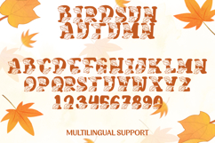 Birdsun Autumn - A Cozy Whimsical Display Font Product Image 9