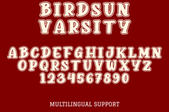 Birdsun Varsity - Bold Athletic College Font Product Image 9