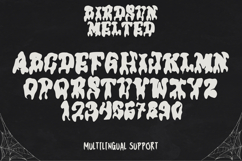 Birdsun Melted - A Playful Font Duo Product Image 9