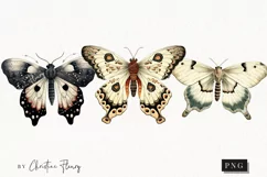 Vintage Goth Moths Clipart | Vintage Gothic PNG Product Image 1