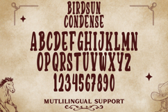 Birdsun Condense - Elegant Condensed Display Font Product Image 9