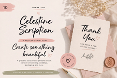 Celestine Scription | Casual Script Product Image 10
