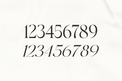 The Esteh Serif Product Image 10