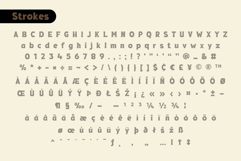 Fox Thunder : 4 Font Styles Product Image 10