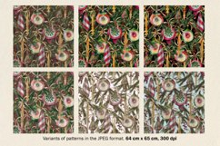 Winter bundle. Four in one Product Image 12