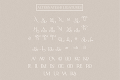 Monarque Serif Product Image 10