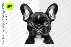 Detailed French Bulldog Puppy Clipart Png Product Image 1