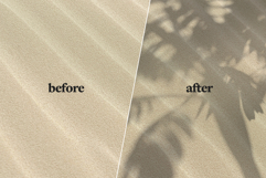 Plant Shadow Backdrops Video Bundle Product Image 10