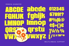 Roneva Funky Retro Sans Product Image 10