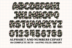 Shabby Chic letters doodle, shabby chic png alphabet clipart Product Image 4