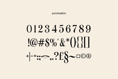 Soulmate Vasque Elegant Serif Font High Contrast Product Image 10