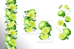 Lime citrus. Watercolor collection Product Image 11