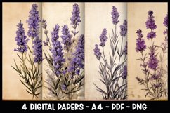 4 Digital Papers Vintage Florals I Vintage Theme Product Image 1