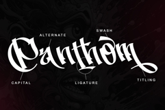 Aerolt Product Image 10