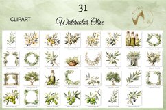 Watercolor Olive Clipart with Transparent Background Product Image 7