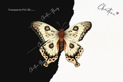 Vintage Goth Moths Clipart | Vintage Gothic PNG Product Image 2
