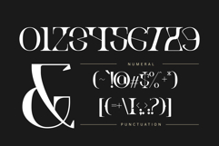 Ronel Luxury - Modern Logo Font Product Image 10