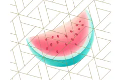 Coral and Aqua Summer Clipart PNG Pastel Tropical Icons Product Image 2