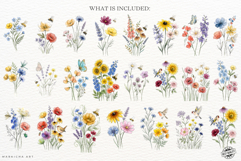 Summer Meadow Flowers Clipart Product Image 4