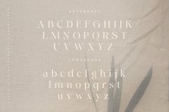 Caghen | Rich Ligature Serif Product Image 3
