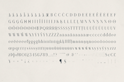 Revolto Elegant Display Serif Font Product Image 10