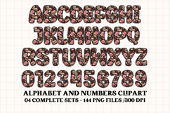 Day of The Dead PNG Alphabet, day of the dead letters doodle Product Image 4