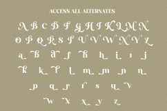 Ansilent - Modern Serif Font with Swash Product Image 10