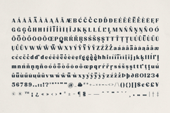 Quindle Retro Serif Display Font Product Image 10