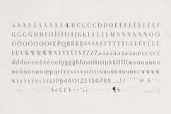Opaline Elegant Modern Serif Font Product Image 10
