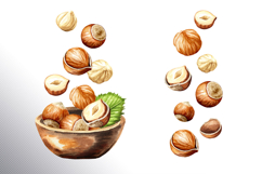 Huzelnuts. Hand drawn watercolor collection Product Image 11