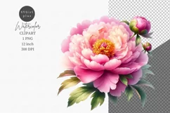 Flowers clipart, Peony clipart, Mother's Day Product Image 1