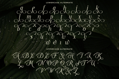 Moelania - Luxury Wedding Serif Font Product Image 10