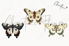 Vintage Goth Moths Clipart | Vintage Gothic PNG Product Image 3