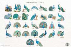 Peacock Garden Clipart Product Image 4