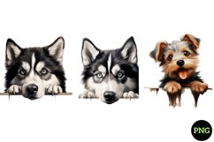 Breeds Of Peeking Dogs Collection Product Image 1
