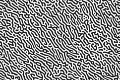 Turing Seamless Pattern #01 Product Image 10