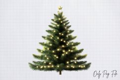 Cozy Christmas Houseplant Clipart PNG Product Image 1