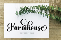 Monday - Family Font Duo In 50 Type Product Image 11