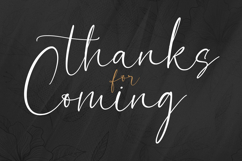 Bionetha - Elegant Handwritten Script Product Image 10