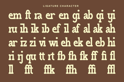 Haleriy - Ligature Slab Serif Font Product Image 10