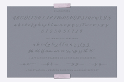 Blossomberry Font Product Image 10