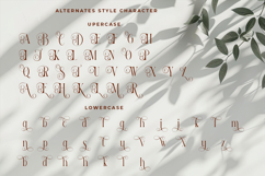 Reilodey - Modern Classy Serif Font Product Image 6