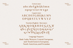 Lonely Hearts A Serif Font with Swashes Product Image 10