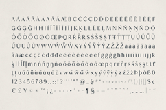 Formiq - elegant display font Product Image 10