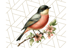 Vintage Song Bird Clipart PNG, Botanical Bird Art Clip Art Product Image 2